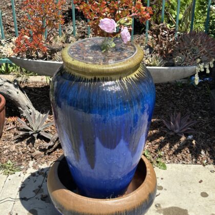 BloomFountain 012